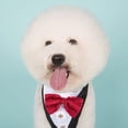 thumbnail image 4 of Perro Formal esmoquin boda perro Bandana Collar perro pajarita ajustable perro pajarita cuello Bandana para perros pequeños medianos grandes mascotas Zhivalor 220513-2, 4 of 4