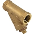thumbnail image 2 of Jandy Pro Series 1" Y Strainer, 2 of 5