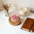 thumbnail image 5 of Artificial Flower Glass Dome with Night Light, Preserved Real Carnation for Mother'S Day Gift, Faux Flower Home Decor, Dustproof Glass Cover, Pink, 5 of 9