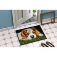 thumbnail image 2 of Cavalier Spaniel in the Grass Door Mat, 2 of 4
