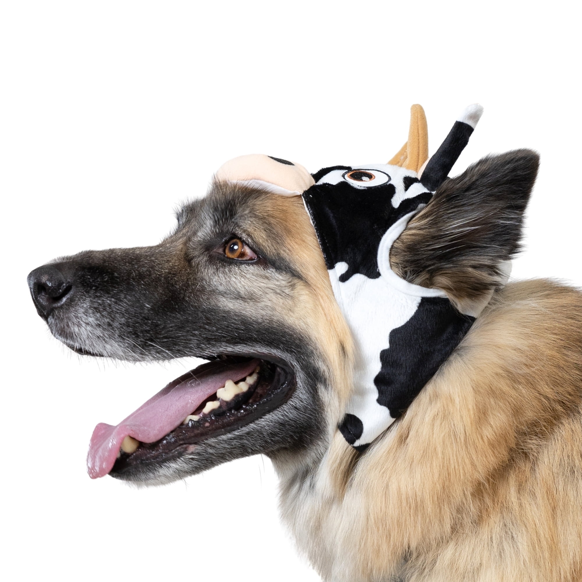 Vibrant Life Halloween Costume for Dogs, Cow, Black & White, Extra Large