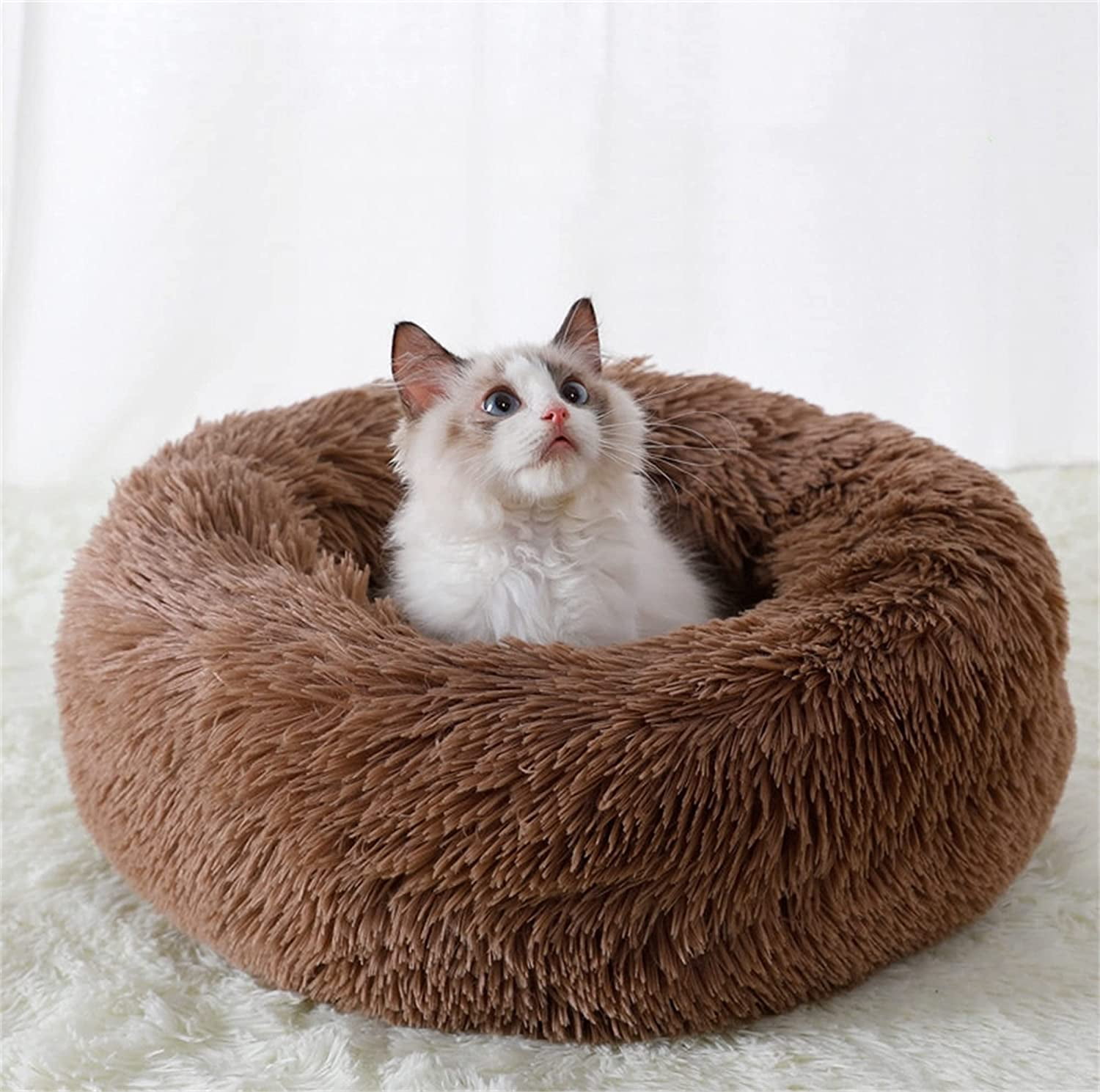 waterproof cat bed