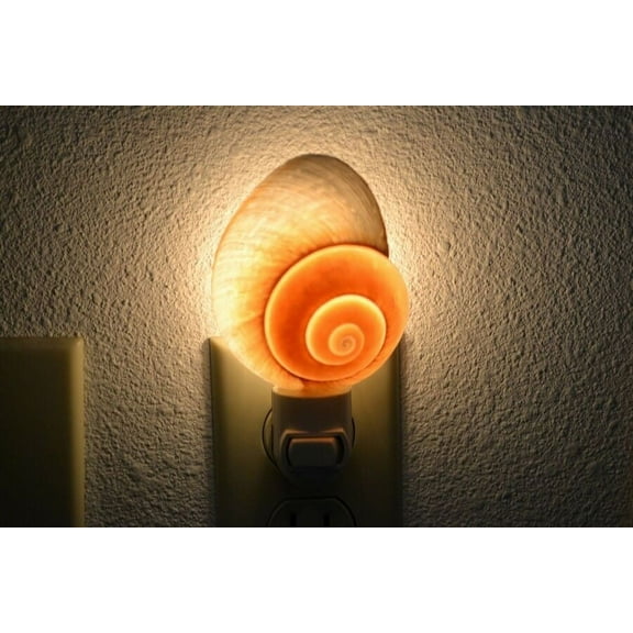 Brown Landsnail Seashell Nightlight