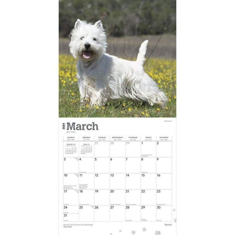 Westie Calendar 2025 Calendar 2025 carin nikoletta