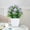 Green 9A5, variant on Small Fake Plants Faux Plants Indoor With Flowers For Home Bathroom Kitchen Office Desk Decor, Xinsrenus Under $5! Small Fake Plants Faux Plants