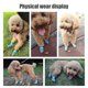 thumbnail image 3 of Botas transpirables antideslizantes para perros, zapatos de verano con suela suave para mascotas, ajuste seguro, diseño antideslizante para perros activos, protección para las patas (paquete, 3 of 5