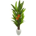 thumbnail image 2 of 6.5' Heliconia Artificial Plant in White Planter, 2 of 2