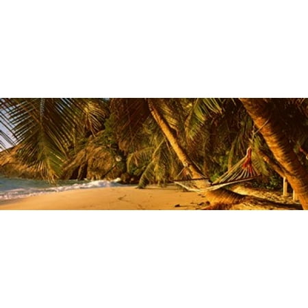 Hammock between two palm trees Seychelles Canvas Art - Panoramic Images (36 x (Best Way To Hang A Hammock Between Trees)