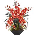 thumbnail image 1 of Orchidée Cymbidium avec Vase Noir, 1 of 1