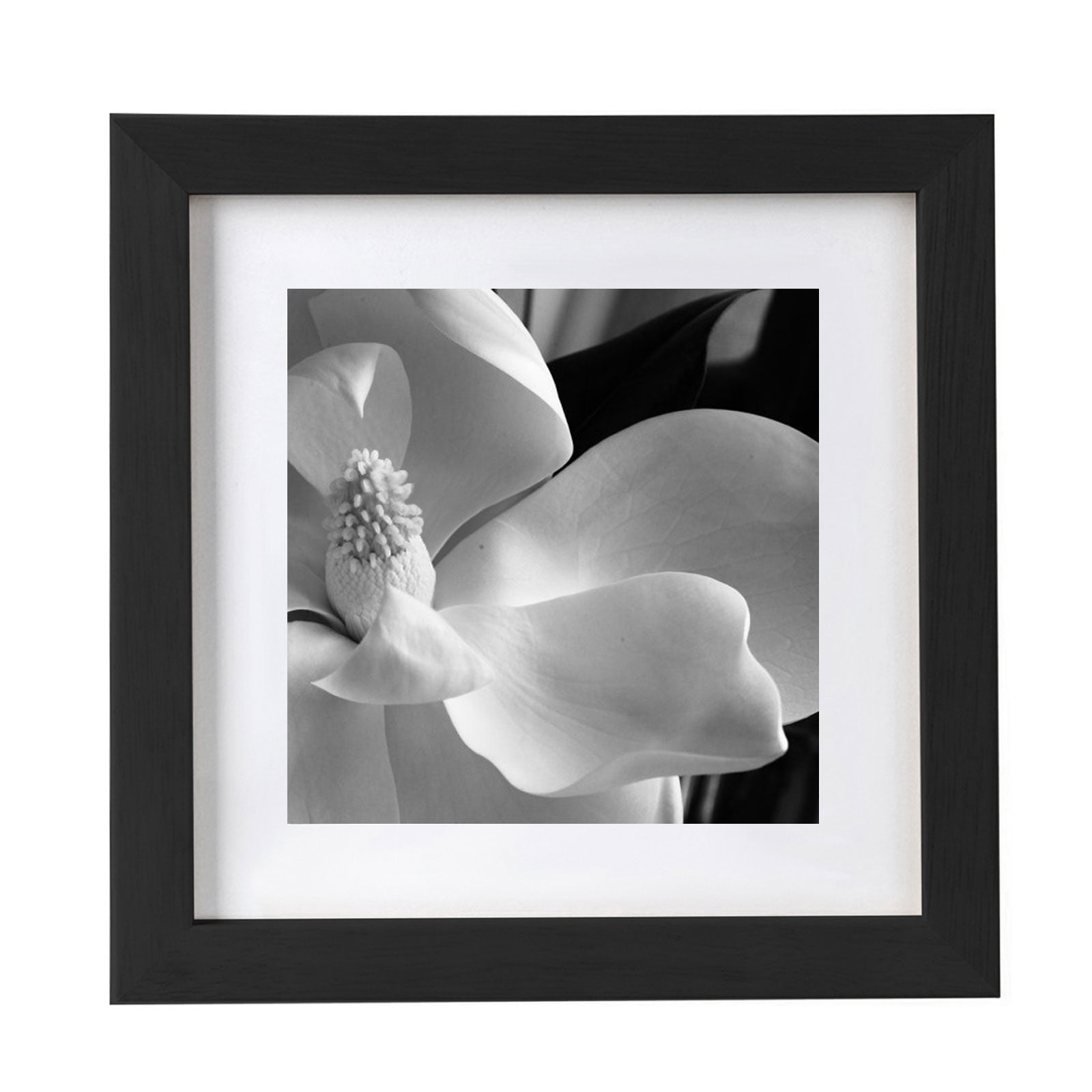 2In1 10x10 Picture Frames Black Matted 8x8 Wooden Picture Frame