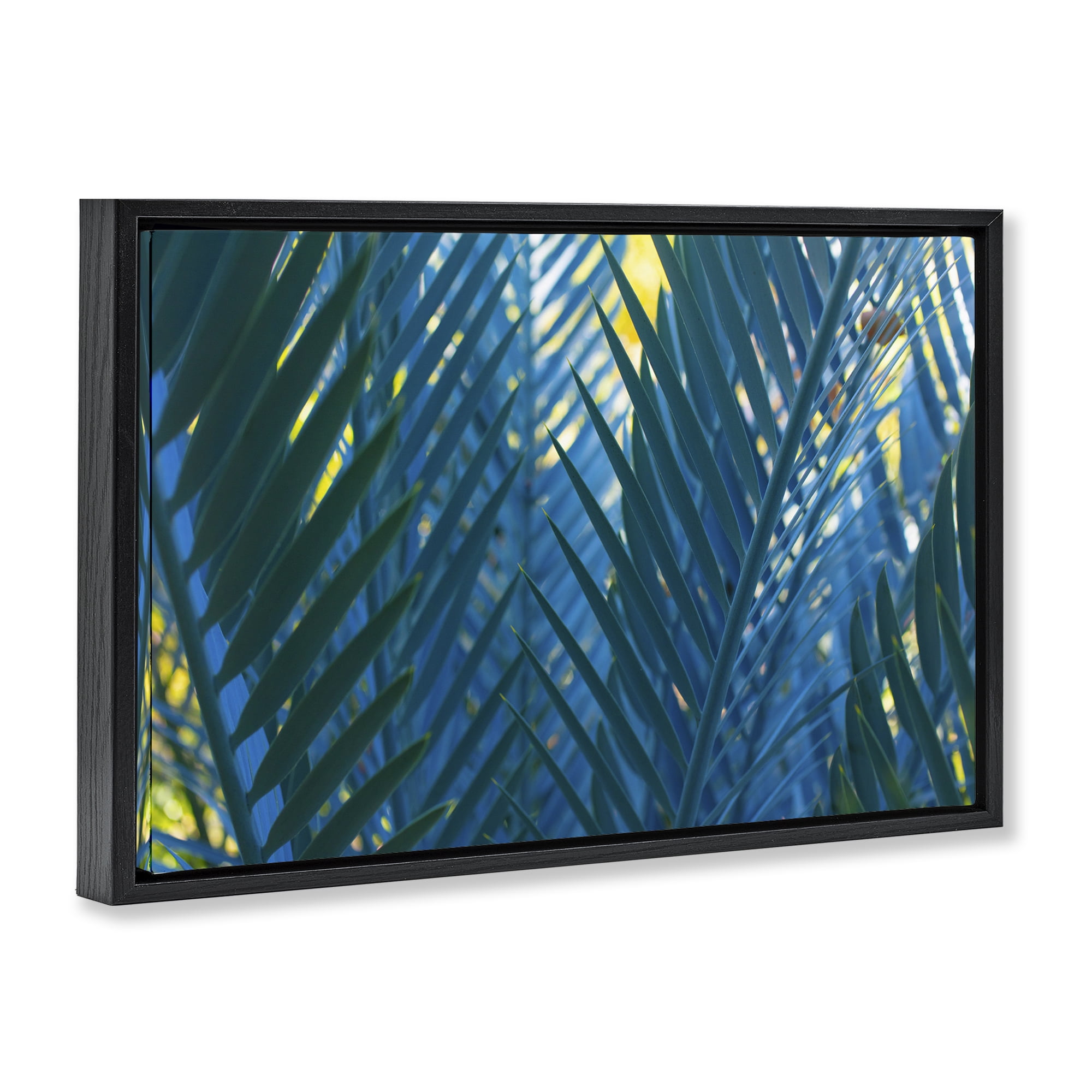 Stupell Industries Blue Palm Fronds Plants & Flowers Photography Black Floater Framed Canvas Art Print Wall Art, 31 x 21
