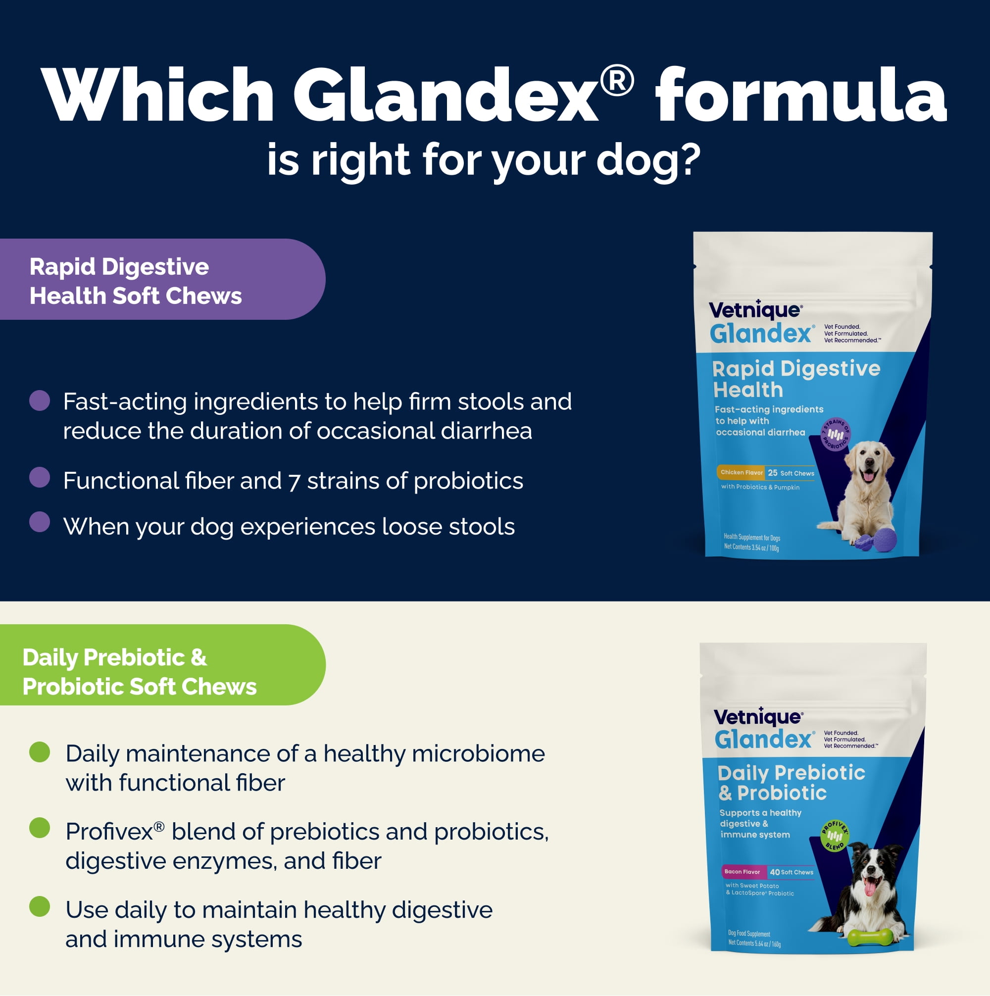Glandex Rapid Digestive Support Chews for Dogs with Occasional Diarrhea, Chicken, 25ct.