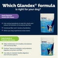 thumbnail image 6 of Glandex Rapid Digestive Support Chews for Dogs with Occasional Diarrhea, Chicken, 25ct., 6 of 9