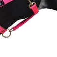 thumbnail image 3 of Hy Deluxe Padded Head Collar, 3 of 4