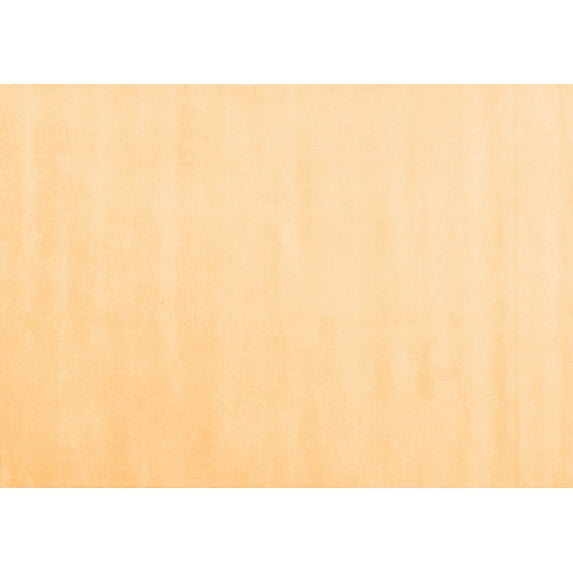 Ahgly Company Indoor Rectangle Solid Orange Modern Area Rugs, 4' x 6'