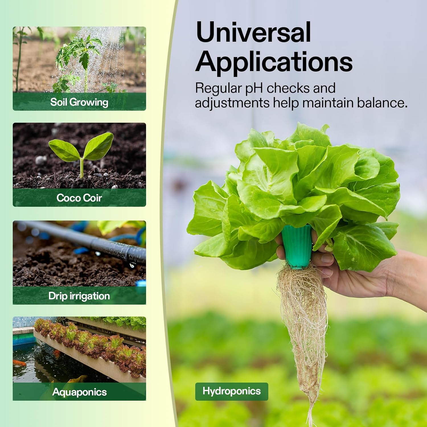VIVOSUN pH Up & pH Down Kit, 1 Quart Each, pH Control Kit for Balanced pH Level and Optimal Nutrient Uptake, pH Adjuster Liquid Fertilizer for All Plants and All Growing Systems