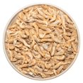 thumbnail image 4 of JADINGSFARM Alimento para tortugas de camarón de río liofilizado 100 g, 4 of 7