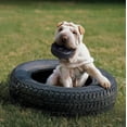 thumbnail image 3 of Juguete de Neumáticos KONG Negro para Perro Mediano/Grande Extreme, 3 of 5