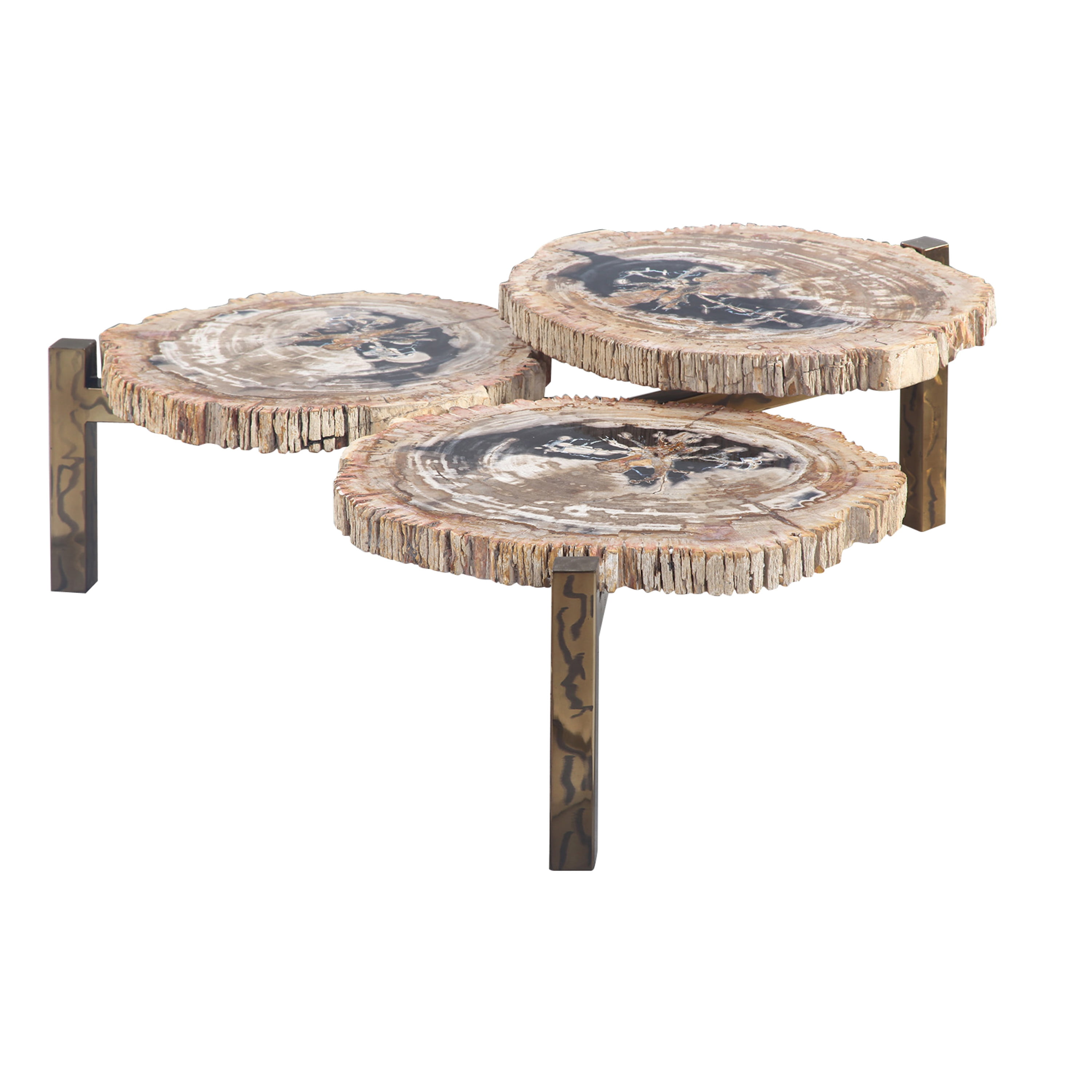 DecMode 40" x 19" Brown Petrified Stone Handmade Petrified Wood Coffee Table with Gold Base, 1-Piece