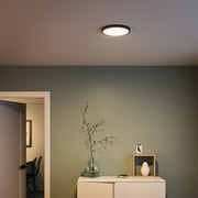 Philips LED 100-Watt 11.8 Super Slim Ceiling Light, Bright White, Black, Dimmable, Flush Mount (1-Pack)