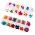 thumbnail image 1 of Minejin Juego de 2 puntas de decoración de uñas con estuche de flores secas reales de 12 colores para manicura y pedicura, 1 of 5