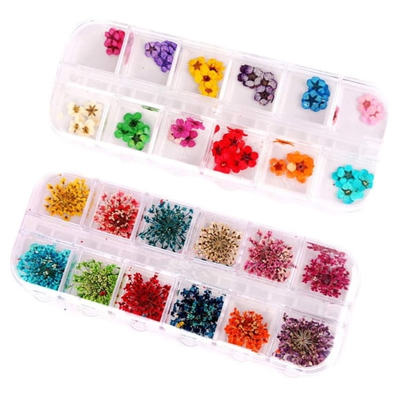 Minejin Juego de 2 puntas de decoración de uñas con estuche de flores secas reales de 12 colores para manicura y pedicura