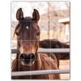 thumbnail image 1 of Picture-Tiles.com: Horse Ceramic Tile Wall Mural WAL500765-34S. 12.75"W x 17"H using (12) 4.25" x 4.25" Ceramic Tiles-Satin Finish, 1 of 3