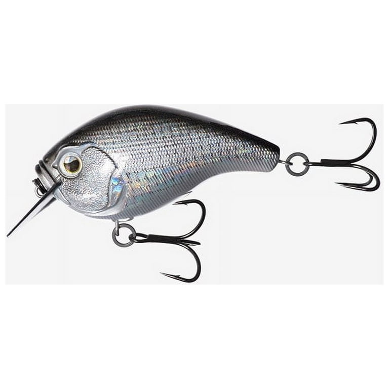 13 Fishing Scamp Square Bill Crankbait 1/2Oz Airfoil Carbon B Sports and  Outdoor E-SC15-PN 