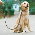 thumbnail image 3 of Dog Leather Leash - Set of Stylish Collar, 3 of 14