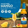 thumbnail image 2 of Syruvia Mango Sugar Free Coffee Syrup No-Calorie Coffee Sauce for Coffee, Lattes, Shakes, Smoothies, Desserts, 25.4 Fl. Oz, 2 of 7