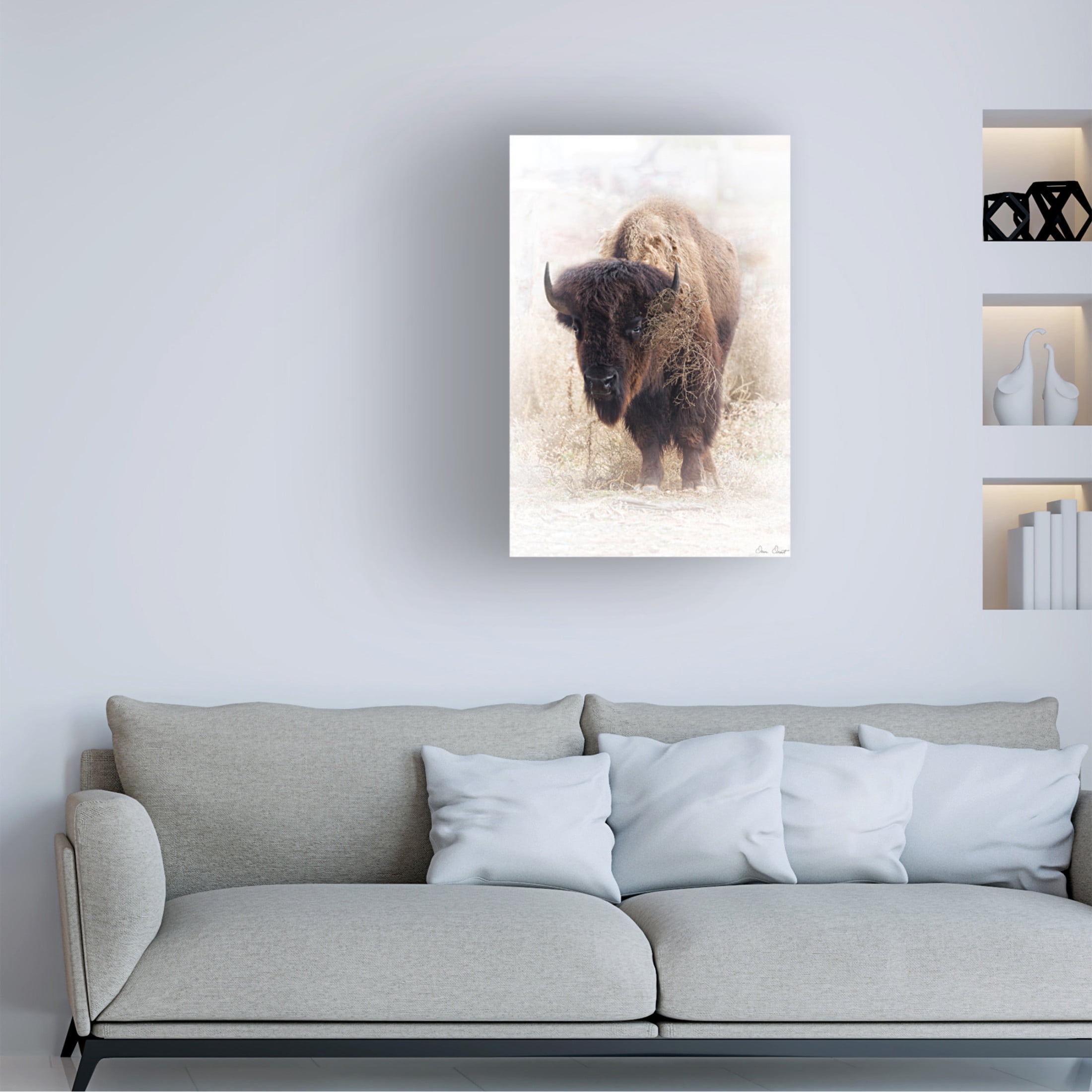 Trademark Fine Art David Drost Standing Buffalo II Canvas Wall Art