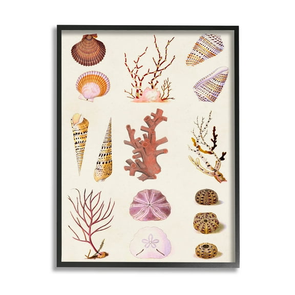 Stupell Industries Mixed Nautical Sea Life Corals Shells Graphic Art Black Framed Art Print Wall Art, Design by Vision Studio