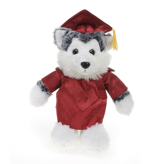 Made by Aliens Personalized Husky Stuffed Animal Plush Toy – Perfect Gift for Graduation Name or Your School Logo on Gown, Best for Any Grad School Kids 12 Inches