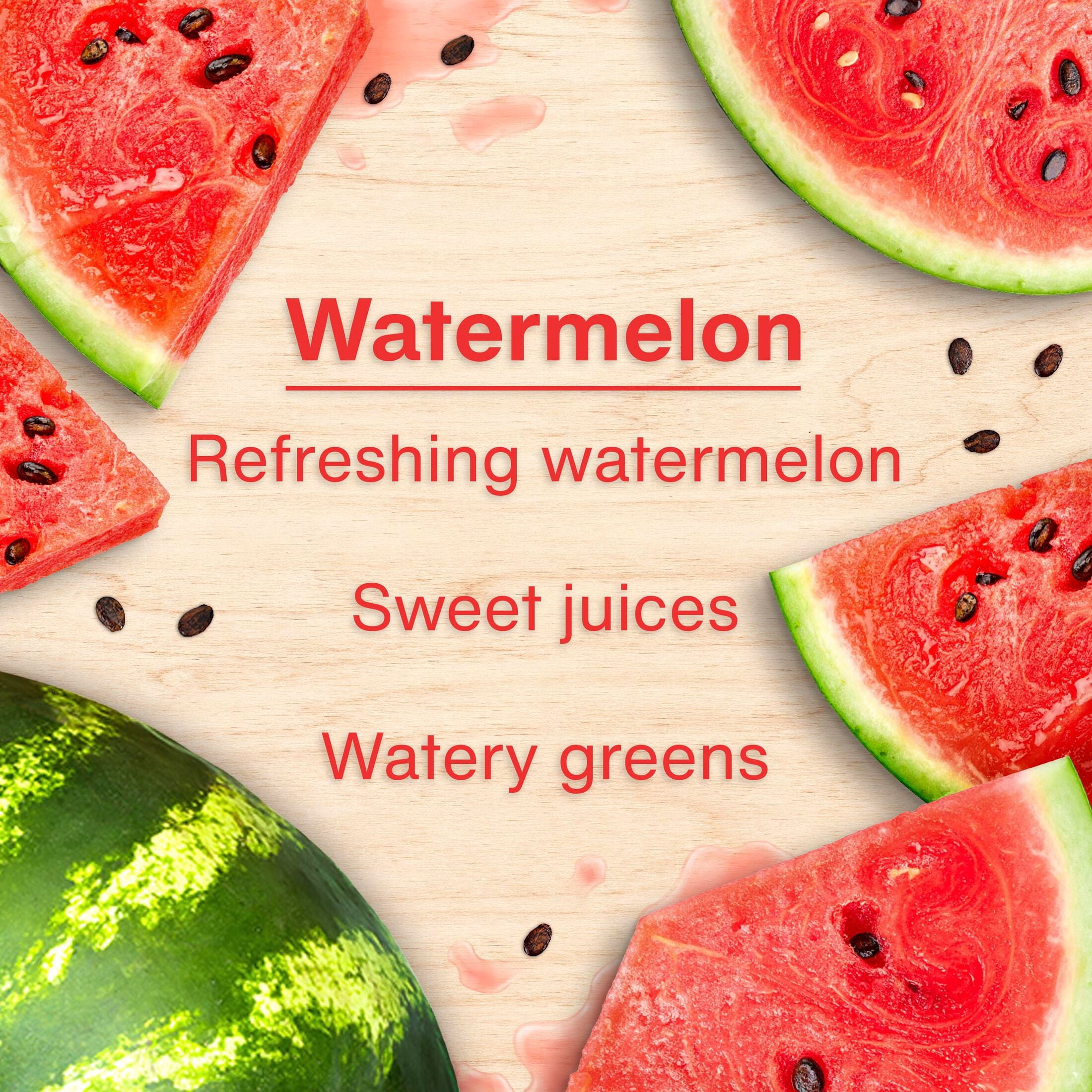 (2 pack) Little Trees Air Freshener Watermelon Fragrance 3-Pack