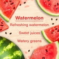 thumbnail image 5 of Little Trees Air Freshener Vent Wrap Watermelon Fragrance 4-Pack, 5 of 10