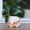 Small, variant on Smily  Planter Pot with Drainage Hole Cute   Planters for String of   Live  Guitar Succulent Pots for Indoor Outdoor   IdeaI for Mother Christmas