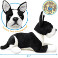 thumbnail image 3 of Baxter the Boston Terrier | 12 Inch Stuffed Animal Plush Dog | By TigerHart Toys, 3 of 6