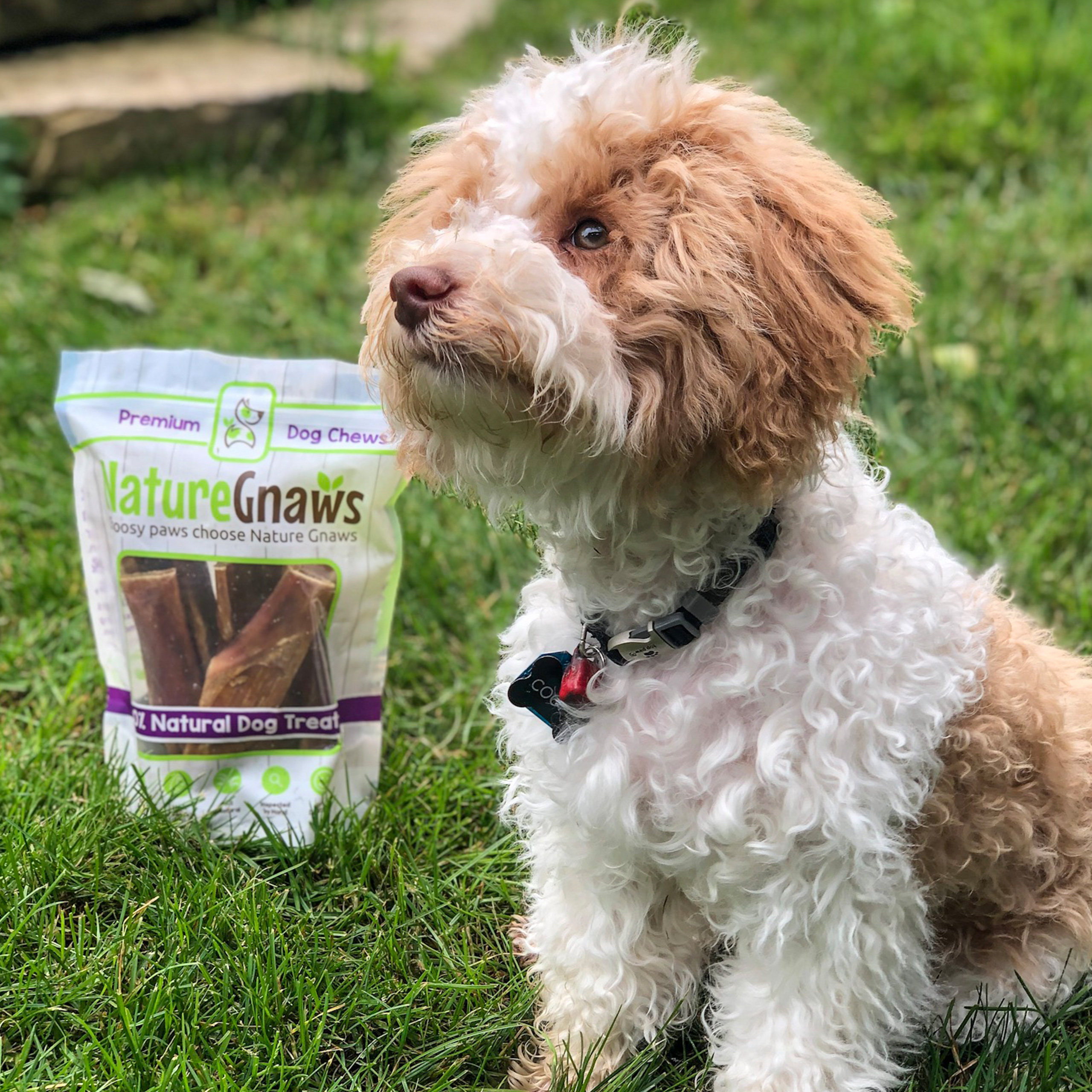Nature Gnaws Rindfleisch-Jerky Springs Für Hunde | 12 Stück | Aus Grasgefüttertem Rind | Ohne Zusätze | Zahnreinigend & Leicht Verdaulich