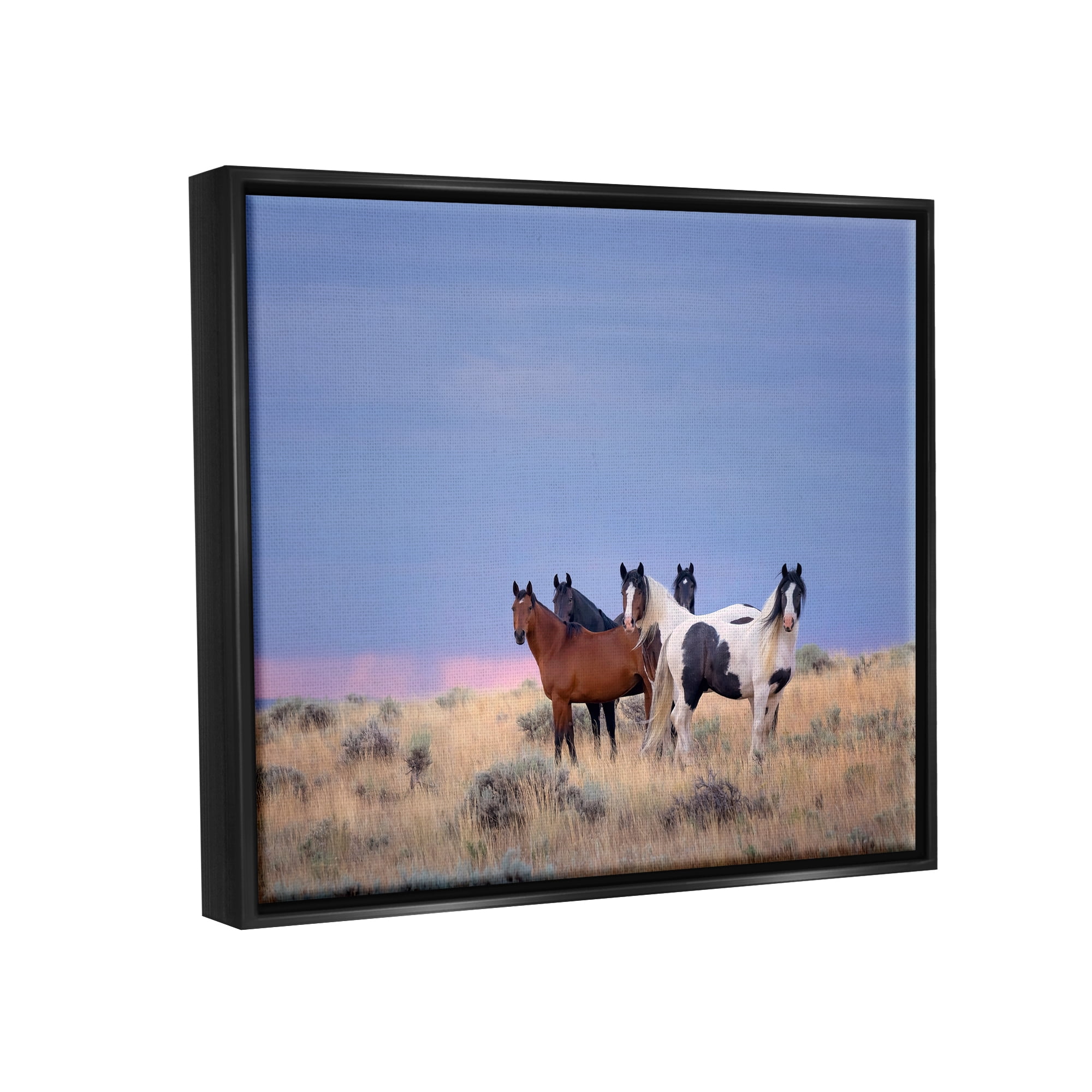 Stupell Industries Country Horses in Meadow Animals & Insects Photography Black Floater Framed Canvas Art Print Wall Art, 21 x 17