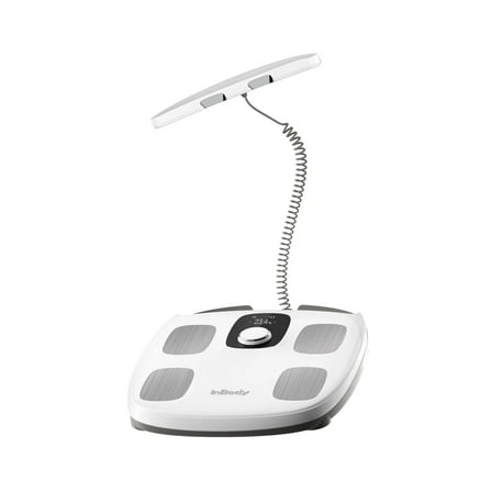 InBody Dial H30 Smart Scale Digital Weight and Body Fat - Fitness Tracker for Men, Exercise Equipment, Body Fat Scale - Fitness Equipment Travel Scale