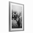 thumbnail image 2 of Stupell Industries Farmhouse Peering Highland Cattle Gray Framed Print Under Glass, 14 x 20, by Dakota Diener, 2 of 8