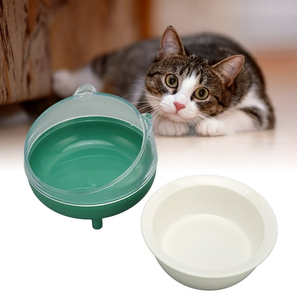 Raised Cat Food Bowls, Ceramic Bowl Cat Bowls Comfortable Slip Resistant for Cat for Soft Food Dark Green