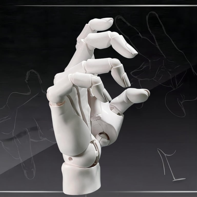 Spring Hand Model Articulated Hand Model Articulated Mannequin Hand - 1:1 Scale Movable ...