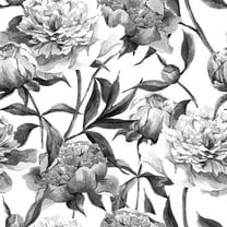 MuralsPrint Hand Drawn  Peonies Removable Wallpaper - 10'ft H x 24''inch W