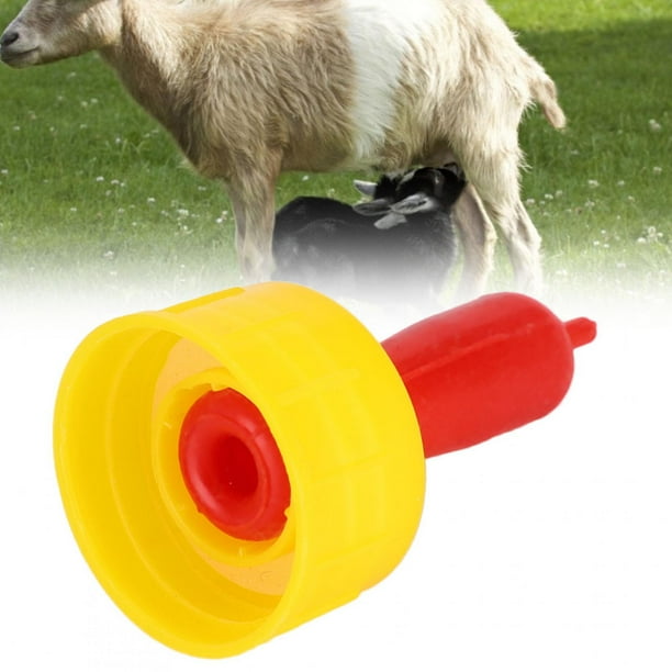 Sheep milk for dogs 2025