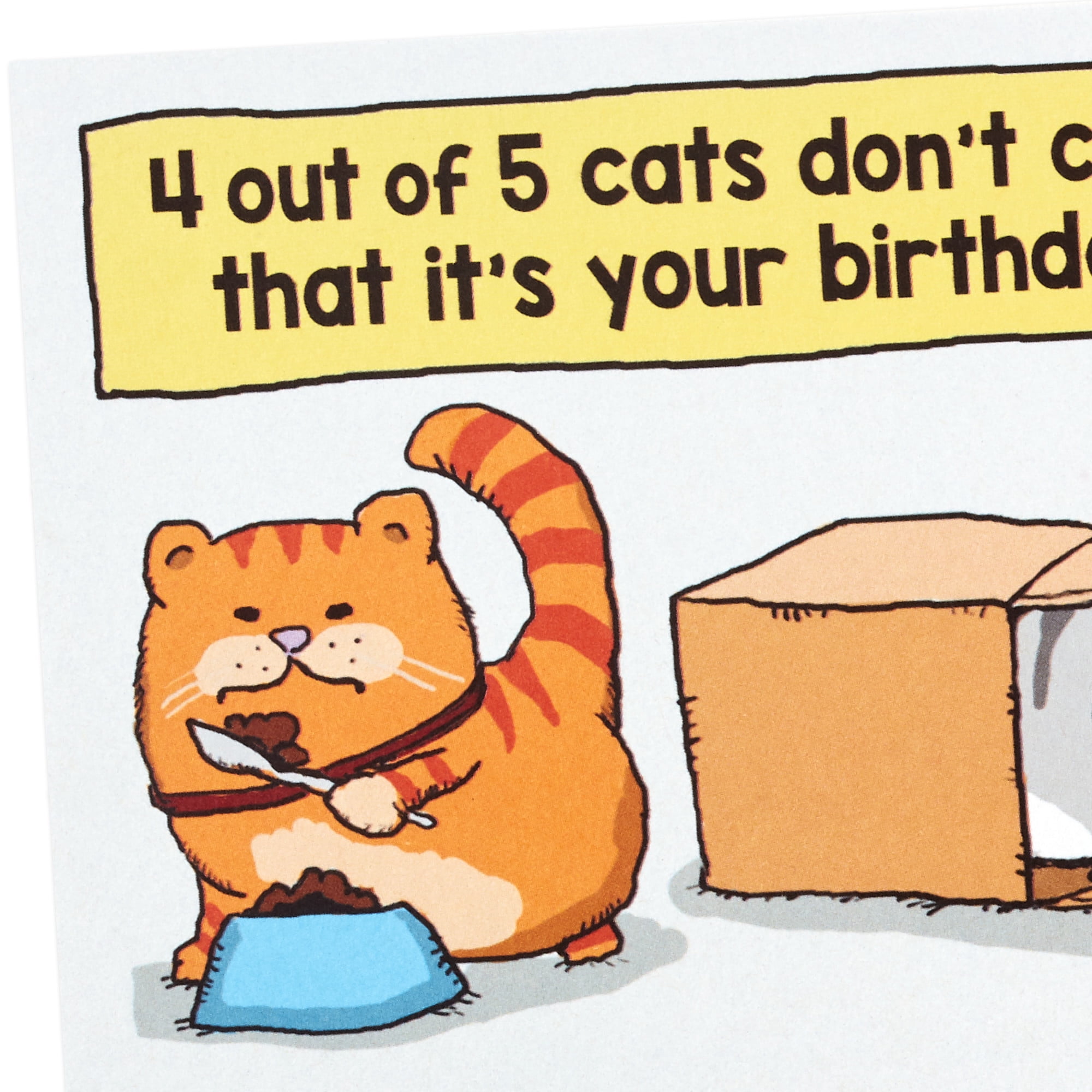 Hallmark Shoebox Funny Birthday Card (Cats Don't Care But I Do)