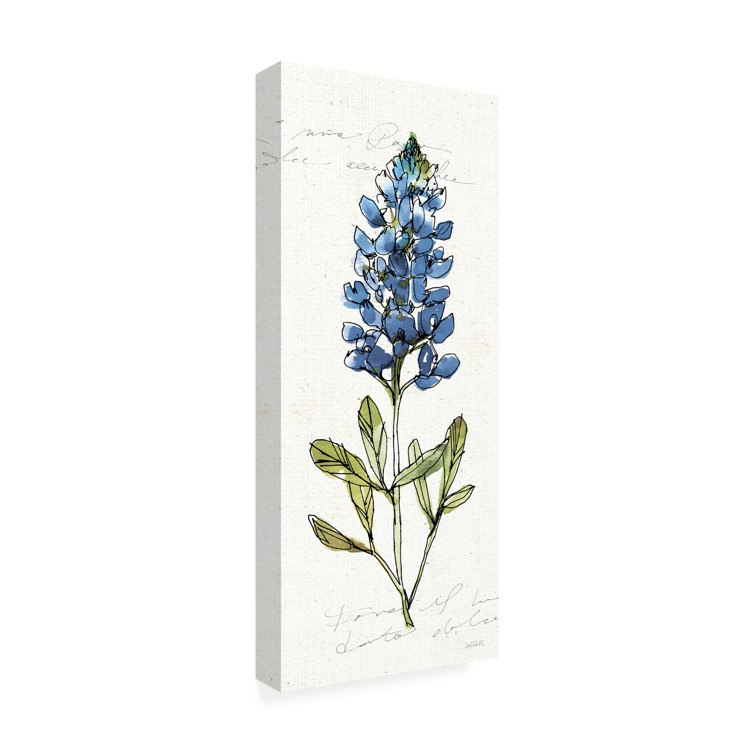 Trademark Fine Art 'Texas Bluebonnet IV' Canvas Art by Anne Tavoletti