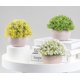 thumbnail image 2 of ZHAOCHENG Planta artificial en maceta, juego de 1 planta decorativa de plástico Bonsai, ideal para oficina, balcón, centro de mesa decorativo amarillo, 2 of 4