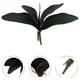 thumbnail image 4 of Rama de orquídea Phalaenopsis con hojas y tallos para decoración del hogar y la oficina (verde), 4 of 5