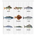 thumbnail image 3 of Ambesonne Fish Shower Curtain, Aquatic Animal Composition, 69"Wx70"L, Multicolor, 3 of 5